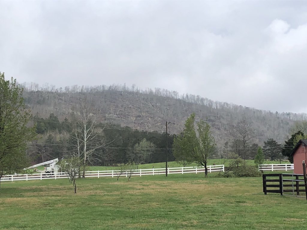 riley__johnson's tweet photo. Significant tornado damage in Nances Creek. Houses demolished and mobile homes picked up and flipped. Clear path of the tornado on the mountain. @spann @weswyattweather @CharlesDanielWx @jpdice_Fox6 @NWSBirmingham @MegTom_WX https://t.co/RvOUegFyqD