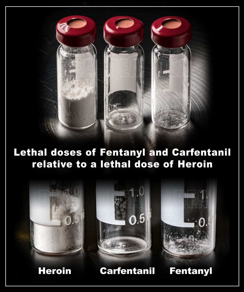 Lethal doses of three different opioids