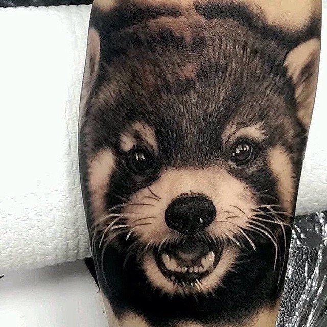 PerfectTat2's tweet photo. Incredibly realistic red panda tattoo by Matt Jordan. https://t.co/qKrvlEaNzd