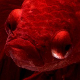 getabsolute's tweet image. Your website does need content to be effective. Not just one time either you need to be adding content to the website on a regular basis. 

buff.ly/2FPQj5a