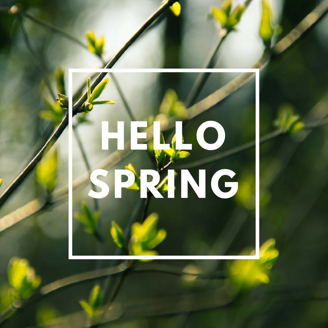 USAnswerLLC's tweet image. "No winter lasts forever. No spring skips its turn." Happy first day of #spring!