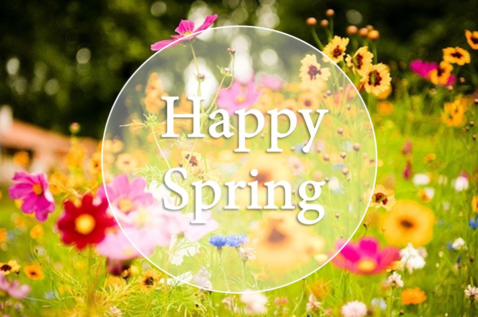 LearnCPRNYC's tweet image. Learn CPR hopes you have a happy first day of spring! Who else is looking forward to the warmer weather?
learncprnyc.com
516 596-8683