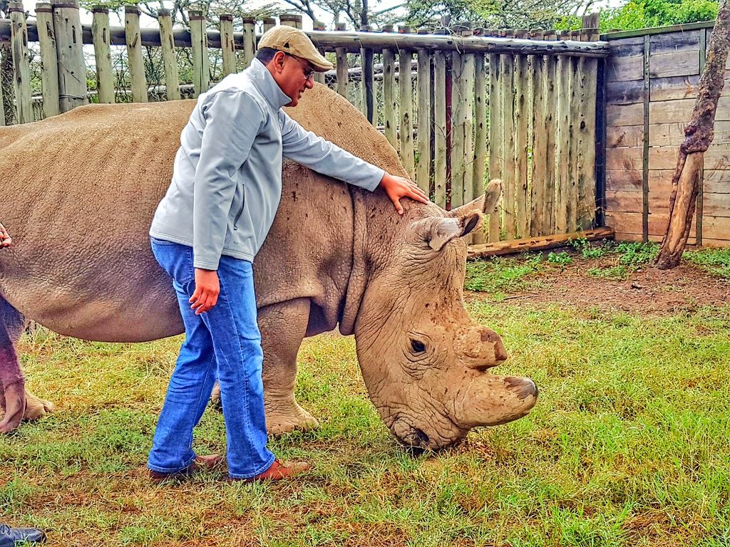 tunajibu's tweet photo. Deeply saddened by the death of #Sudan, the world’s last male northern white rhino. @OlPejeta , @kwskenya and the teams of rangers we salute you for all the efforts. Lets together ensure to protect and preserve whats left of our wildlife #SudanTheRhino #ivorytrade https://t.co/aKLvPZ5k4e