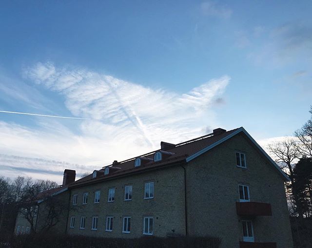 ywamrestenas's tweet photo. || Praise God for seasons. Praise God for blue sky’s and sun. Praise God for all the beauty in this world. ☀️🌿🙏🏻 https://t.co/eMEkROvxng https://t.co/YlkgirAOW2