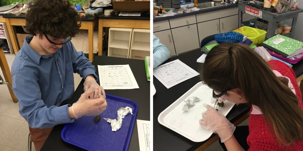 PennfieldSchool's tweet photo. Dissecting owl pellets. #middleschool #biology #preditorprey https://t.co/3FMK11CiQ9