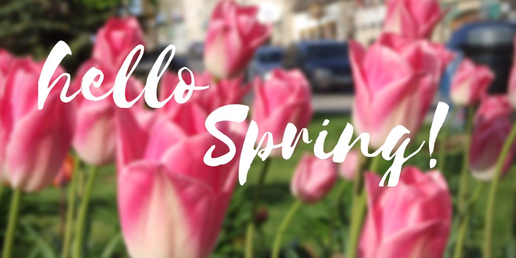 Welcome Spring!  What are you looking forward to this season?
