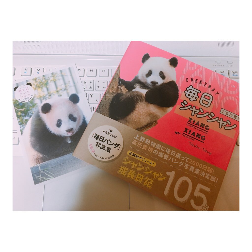 毎日シャンシャン 毎日シャンシャン