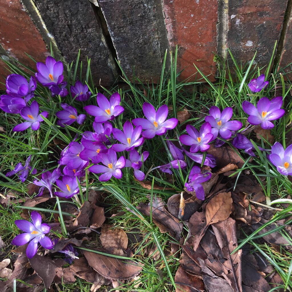 Happy #InternationalDayOfHappiness!