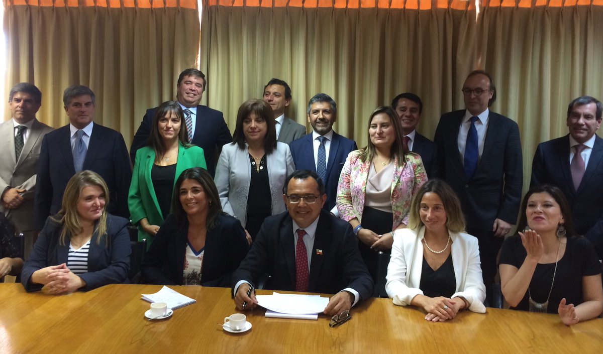 Patricia Colarte tweet media