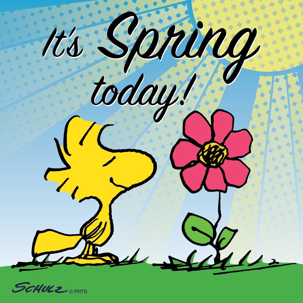 DCUOIT_CHC's tweet photo. Happy #FirstDayofSpring and #InternationalDayOfHappiness ! From everyone at the Campus Health Centre to you, we hope this season brings lots of sunshine and happiness! Did you know smiling boots your immune system and also relieves stress by releasing endorphins?! https://t.co/yrbRq8L4yR