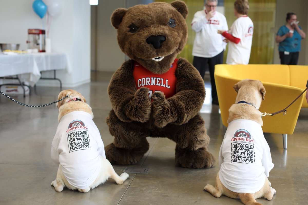 Cornell Alumni tweet media