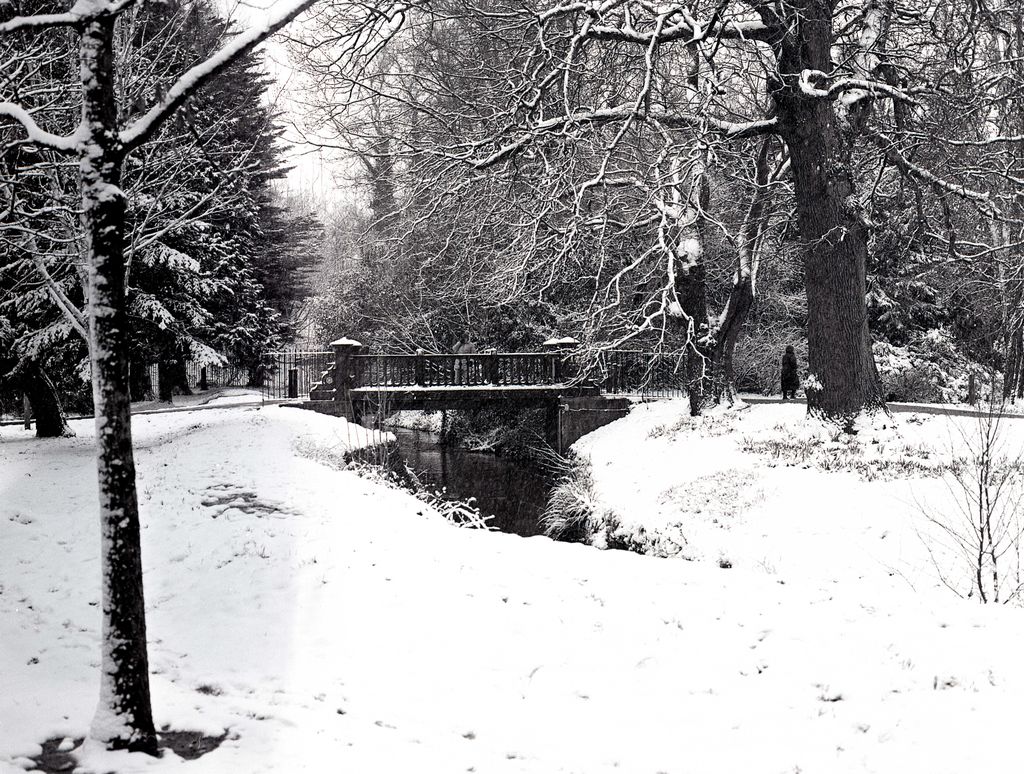 ObsrvntPheasant's tweet photo. Another bridge! 😱
#CardiffSnow #BelieveInFilm #shootfilmbenice #Ilford #IlfordHP5 https://t.co/W8ZwlTKKCI