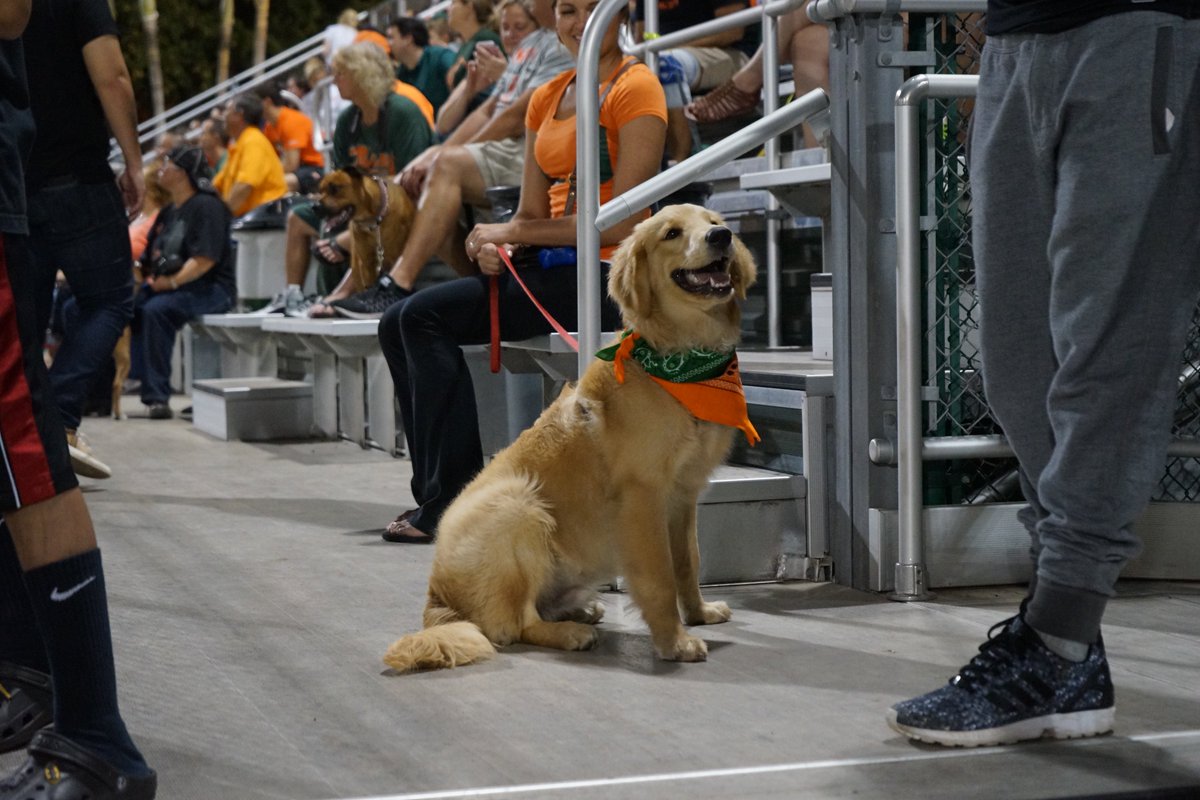 CanesBaseball's tweet photo. Last year was a blast! https://t.co/04KpAuyV3k