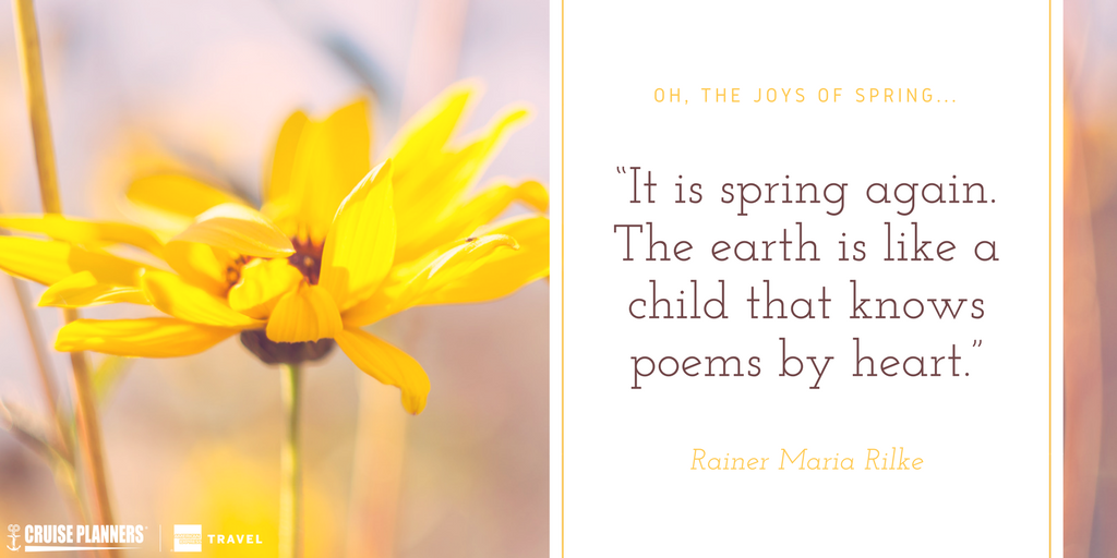 travelbysandy's tweet photo. It’s Spring, rejoice! https://t.co/rI0q8VVXAp