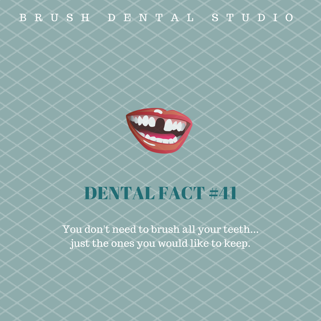 BrushDental's tweet photo. Happy Toothsday! https://t.co/6OUb90Tuwf