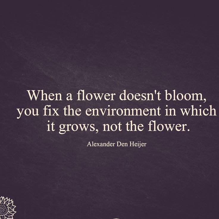 amze04's tweet image. Forever willing flowers to bloom 🌸 🌺 #challengethesystem #breakthecycle #WSWD18 #SocialWork