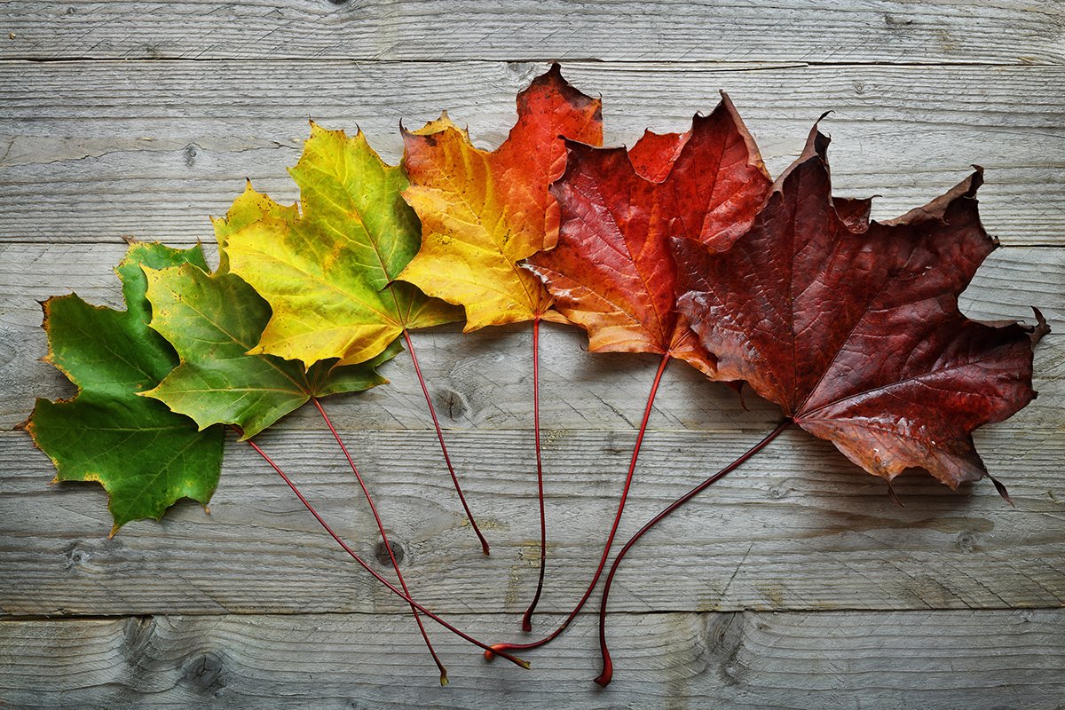 When we speak about our values we are likely to discover that they are shared among others who we might have regarded as very different from us. Have you ever been surprised to learn that someone else shares your values? #CanadianValuesConversations