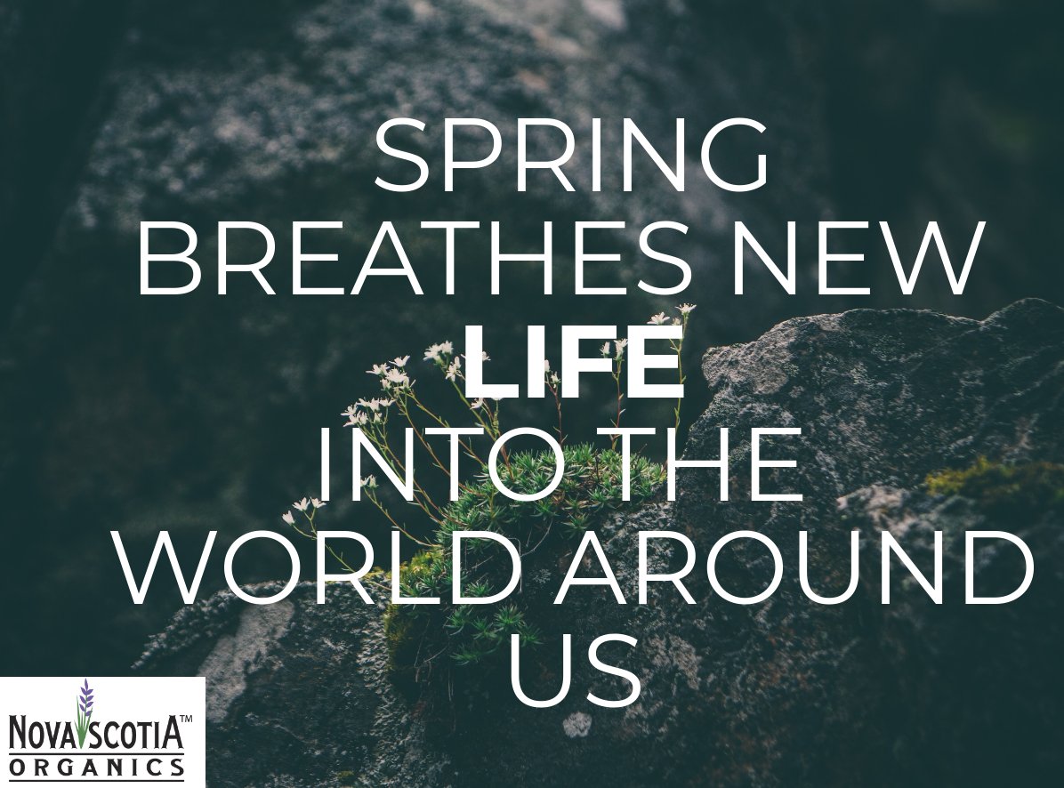 Nova Scotia Organics tweet media