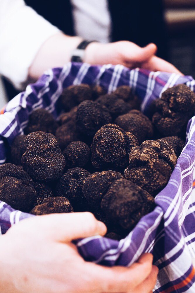 UrbaniTruffles's tweet photo. There’s no need to wait for your ski holiday to enjoy some yummy mountain food – join us March 27th at the #TruffleLabNYC for an intrepid truffle dinner with the best food from Trentino Alto Adige: https://t.co/5ZUsKN2HsN
#UrbaniTruffles @RotariUSA @MezzacoronaWine https://t.co/55W42Jvi4O