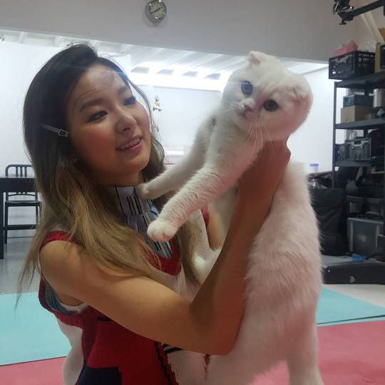 wenseulpics's tweet photo. https://t.co/Q0AUpTw5at
