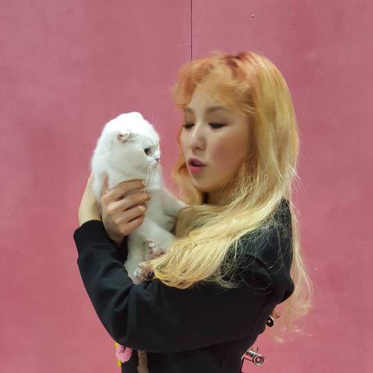 wenseulpics's tweet photo. https://t.co/Q0AUpTw5at