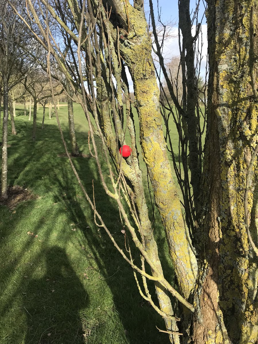fatcrout's tweet photo. @volvikUSA I think a tree iron should do it to be sure https://t.co/7NmIcRnyWv