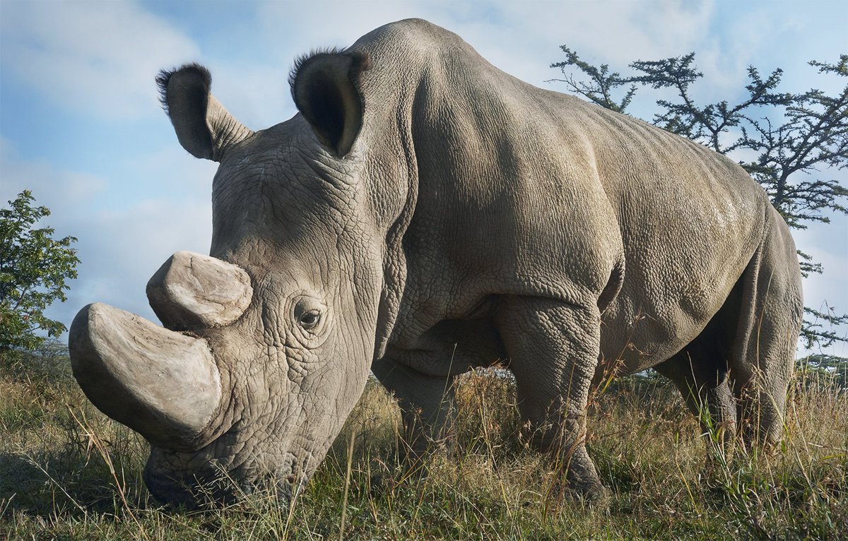 Tim Flach tweet media