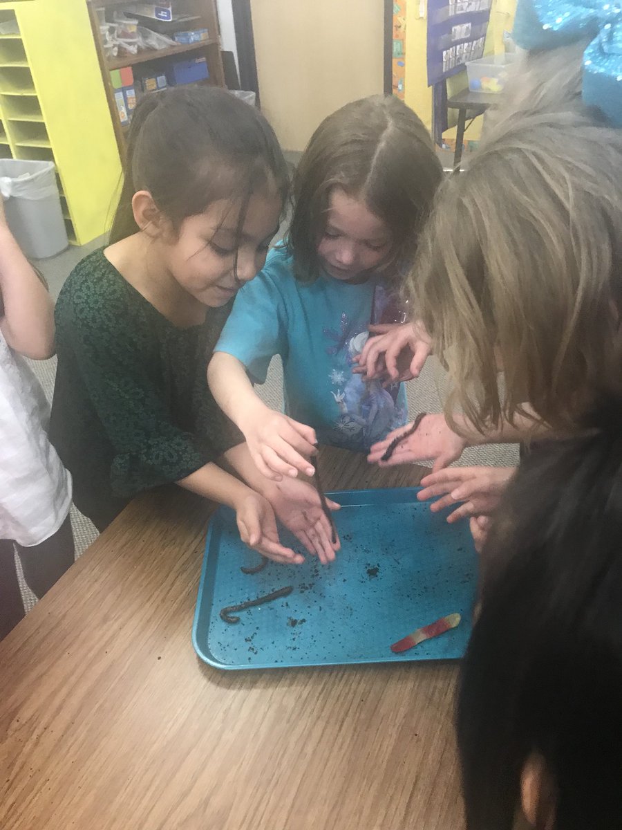 mrsmaddoxkinder's tweet image. Comparing living and non living with gummy worms and live worms! #carsonstars