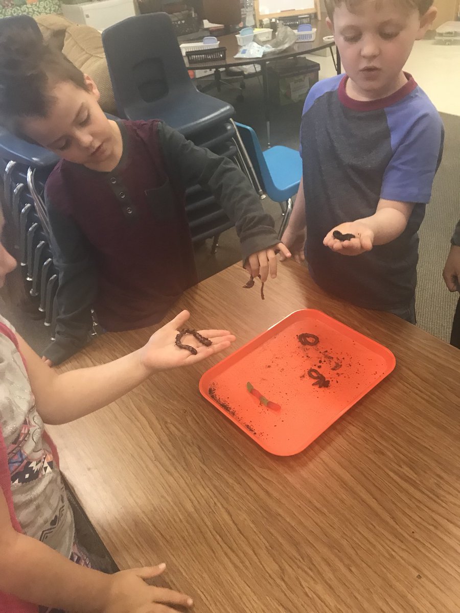 mrsmaddoxkinder's tweet image. Comparing living and non living with gummy worms and live worms! #carsonstars