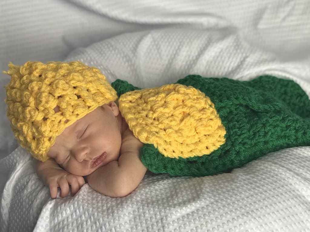 HilltopSeeds's tweet photo. Happy National Ag Day from this corny lil fella! #futurefarmer #agday #thankafarmer #hugafarmer #corn #maxandrew  This might be the best looking ear of corn I’ve seen but @ChannelSeed has some good ones too 😏 https://t.co/fdklmnyIdn