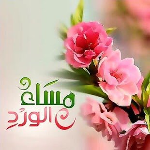 Yousri Abdelfatah (@yousriabdelfat2) on Twitter photo 