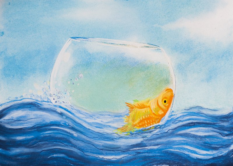 TomHegedus's tweet photo. #deadfish sailing on the #sea #pastel #art #drawing https://t.co/bXpkM9Xs96