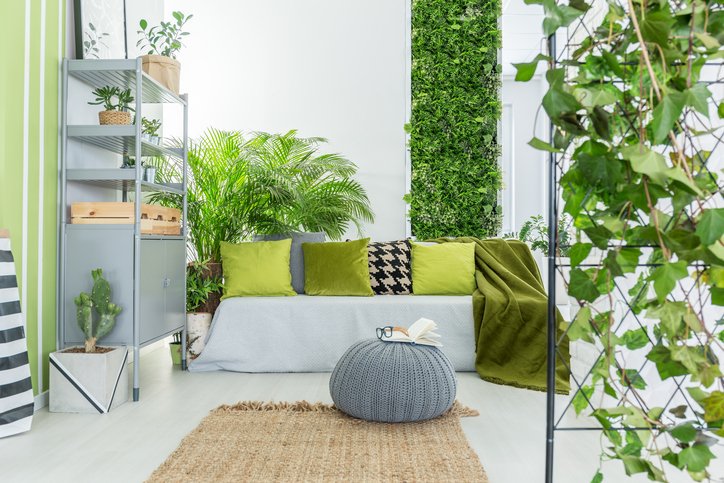 ProduceHabitat's tweet photo. Via @Care2: 4 Important Benefits of an Indoor #VerticalGarden 🌿

🎨 https://t.co/6eBeQXQZQB 🥗 @HousePlant_Shop🌱 @HouseplantGuru 🌵#houseplants ⚡️ https://t.co/pMAZLxMeMY