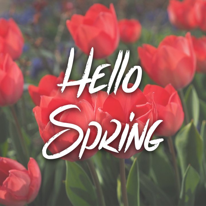 StyleSmileUSA's tweet photo. Happy First Day of Spring! #LoveMyStyleSmile https://t.co/xNtertkMc9