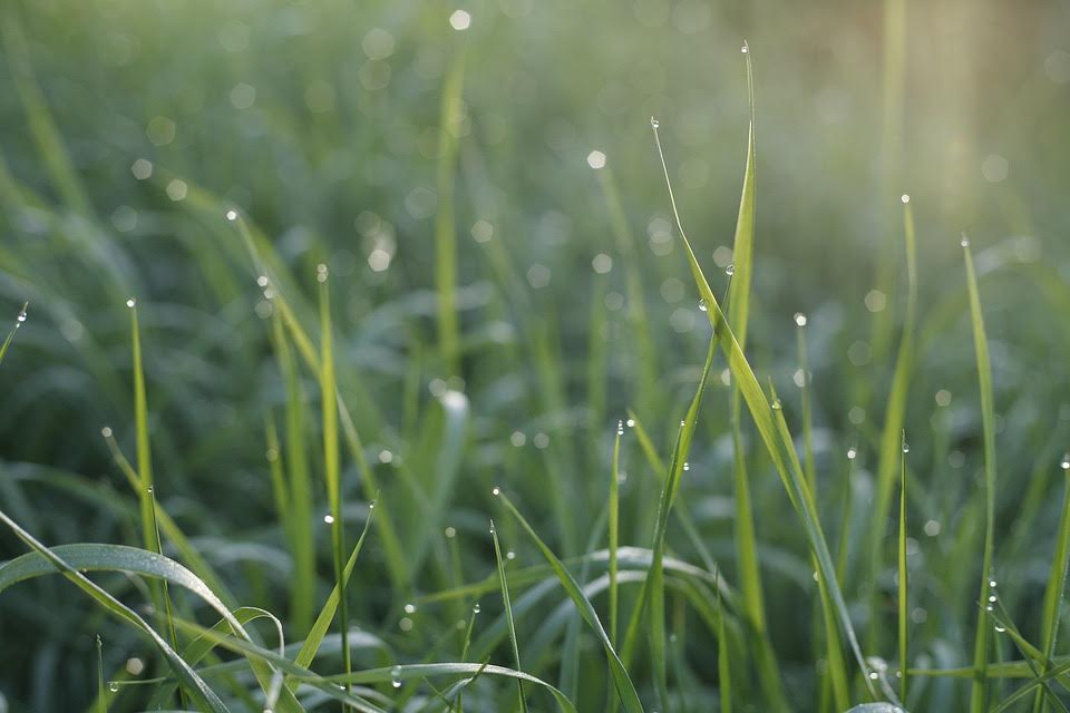 PremierPro tweet media