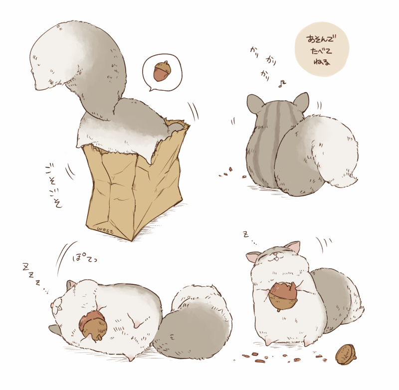 O Xrhsths West Sto Twitter 自由なナッツイーターの姿をながめたい