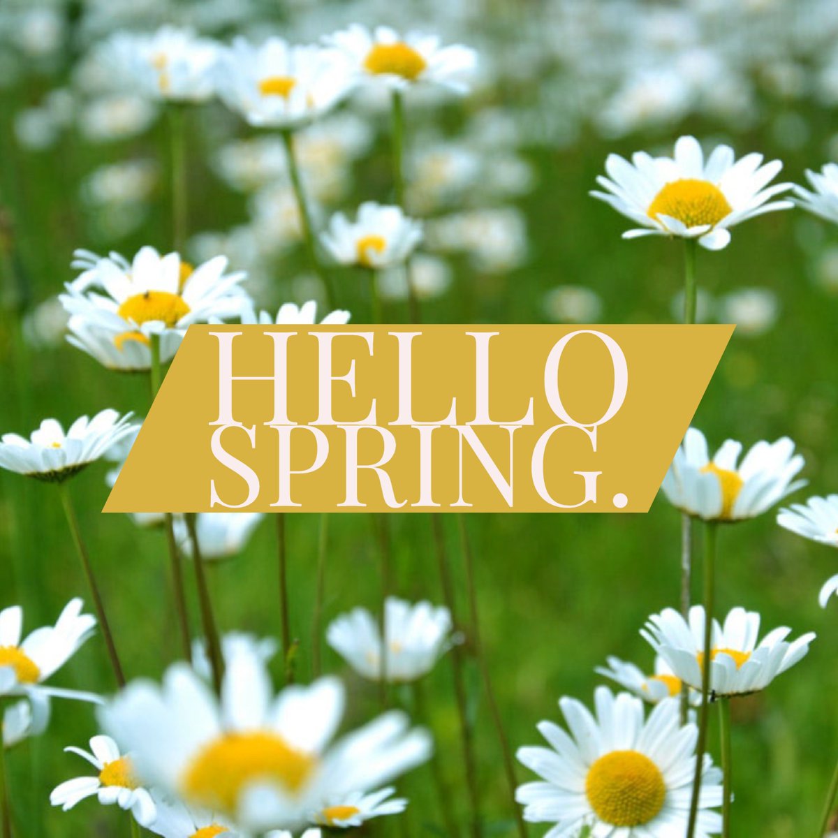 FirstInspec's tweet image. Spring has officially sprung!
