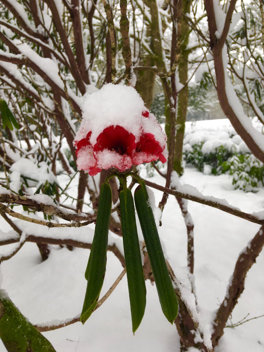 Alan Power NT (alanstourhead) Twitter