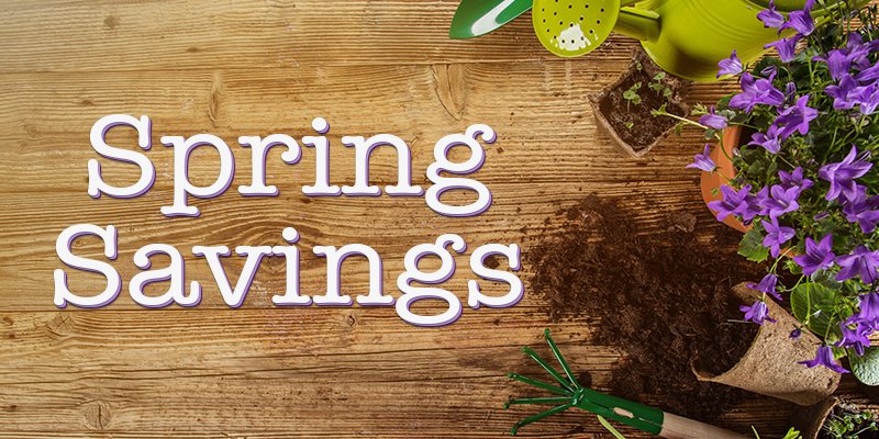 RainguardWS's tweet photo. Happy Spring! Save 20% on all Project Sealer concentrates on https://t.co/IHZsMZrz0k! #SealingGood #DIY #FirstDayofSpring #HomeImprovement https://t.co/2zNoFqjHEa