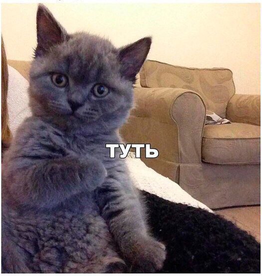Где любовь к еде?