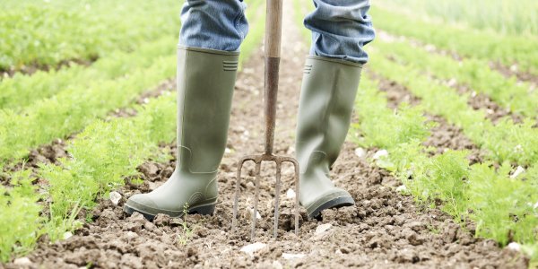 The Farmland Access Legal Toolkit is the latest resource from <a href="/CAFScenter/">Center for Agriculture & Food Systems</a>. By arming farmers and landowners with affordable legal knowledge, it promotes an equitable food system. ow.ly/ewSQ30j3lbH