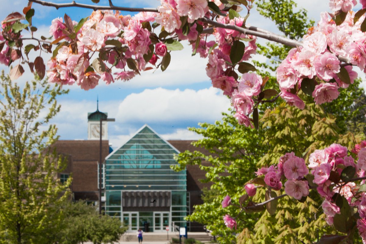 GVSU's tweet image. Ready for campus to look like this again. ☀️ #byewinter