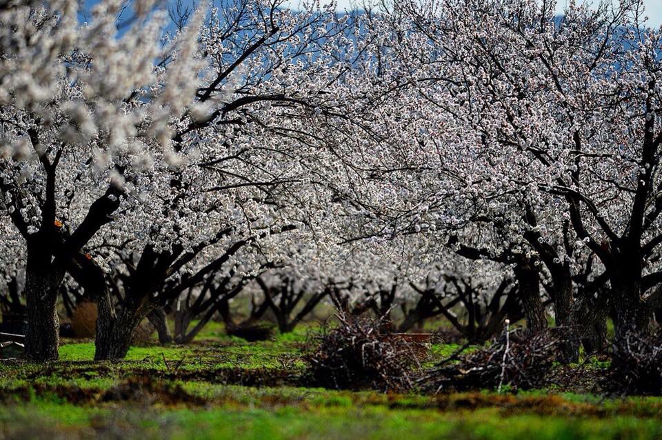 armenia's tweet photo. Today is #SpringEquinox: winter is officially over and the days are now getting longer! Although it somehow feels that spring never left #Armenia. https://t.co/KKs5rxUuir