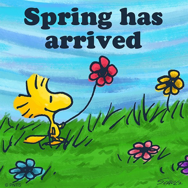 Peanuts_4Fans's tweet photo. Spring is here! 🌺 🌸 🌼 https://t.co/ABHzn26Ch9