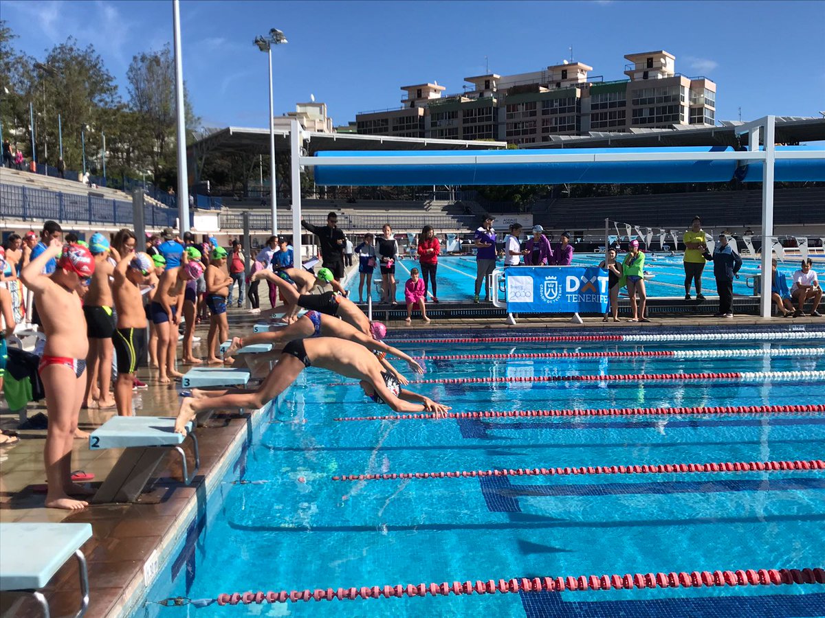 DXTenerife's tweet photo. #natación 280 niños y niñas de la Zona Centro-Sur participaron en su segunda concentración de la temporada en los #JuegosCabildoTF Así queda la #clasificación hasta el momento https://t.co/3wabWLriPH https://t.co/KVY1AgghKD