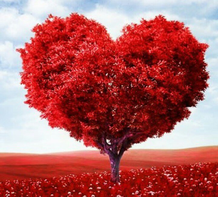 Balprabea's tweet photo. #DiaInternacionalDeLaFelicidad!! Felicidad esa que perdura en los corazones de quienes amamos y hacemos el bien!! #FelizDiadelaFelicidad a todos aquellos que sus corazones florecen dando lo mejor dia a dia!!..felicidad infinita a mis soles eternos !! https://t.co/SykP1zjtgR