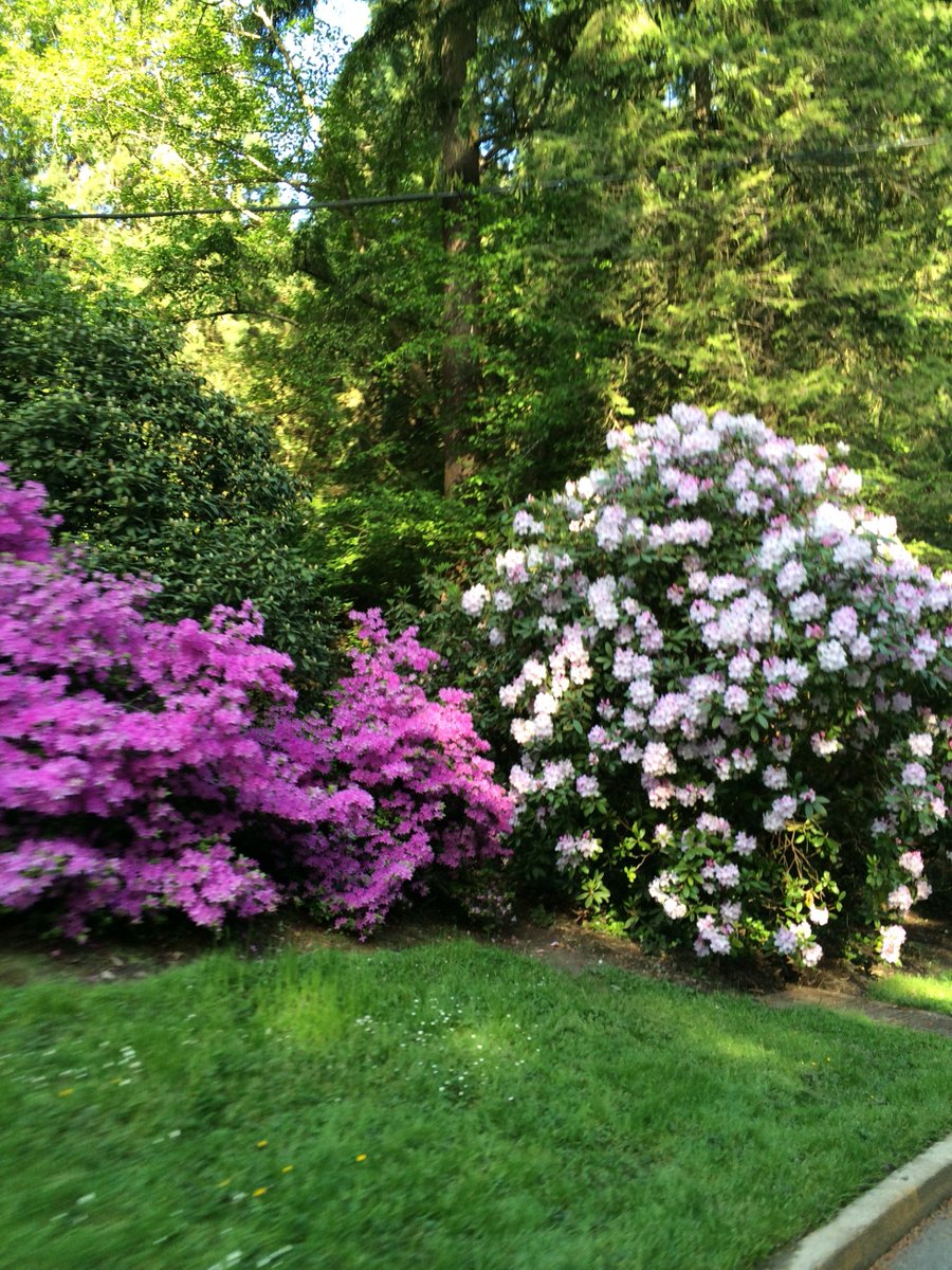 "Happy first da…" - @PDXParksandRec, Portland Parks & Rec ... - 900 x 1200 jpeg 319kB