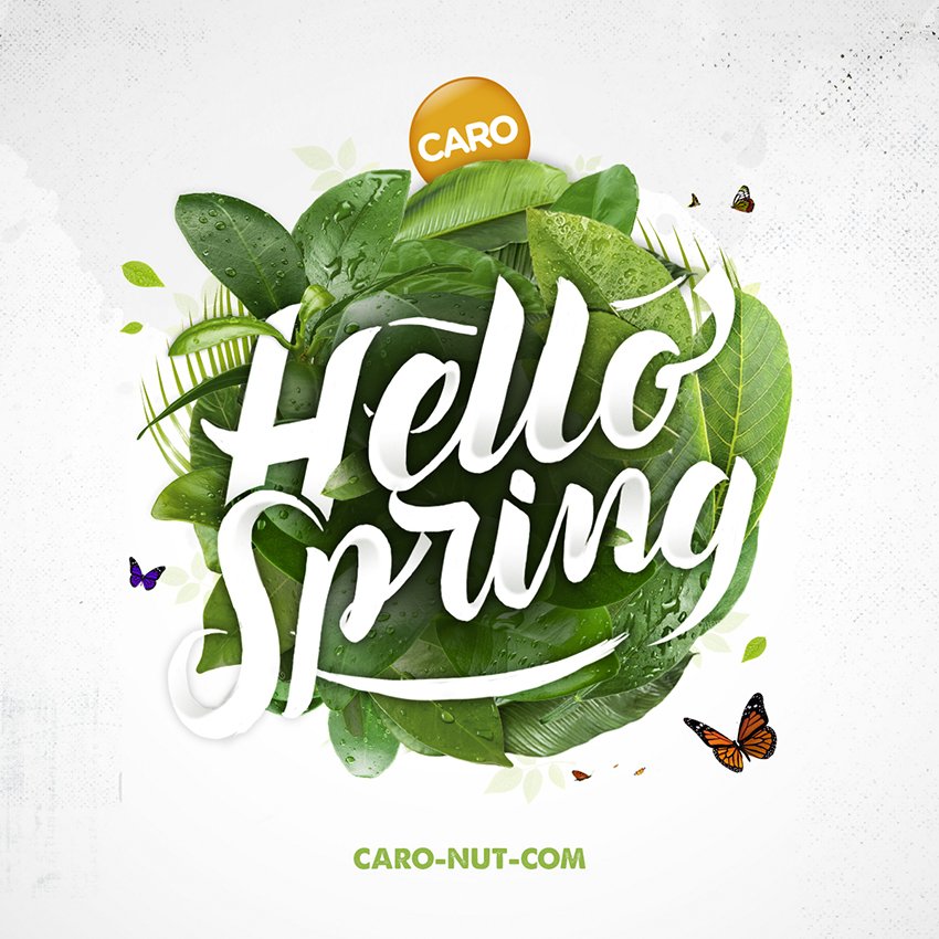 Caro Nut tweet media