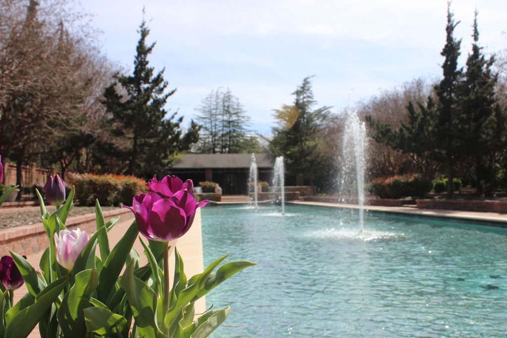 Happy first day of Spring! #VisitMineralWells #ClarkGardens