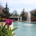 Photo by Visit Mineral Wells (@Visit_MW)